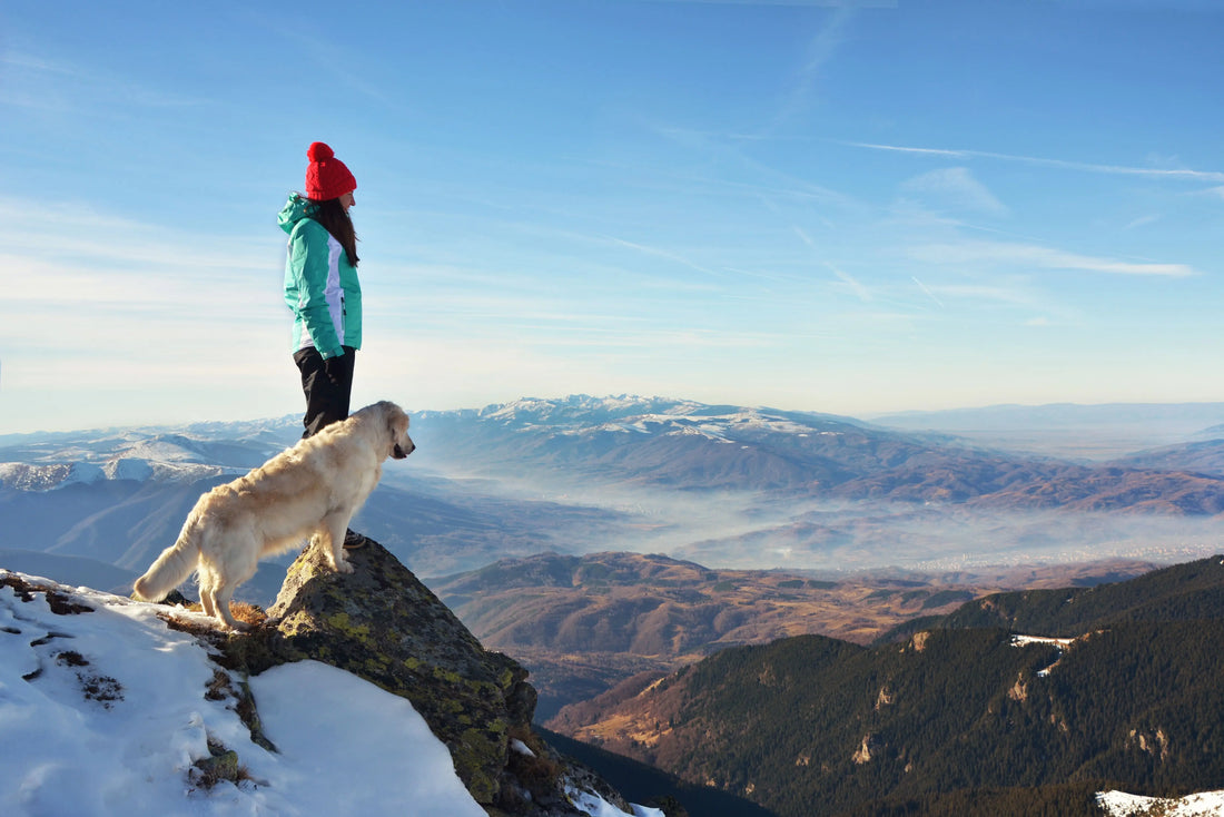 Trekking with your dog: our tips for hiking with your four-legged friend CALZATURIFICIO ZAMBERLAN SRL