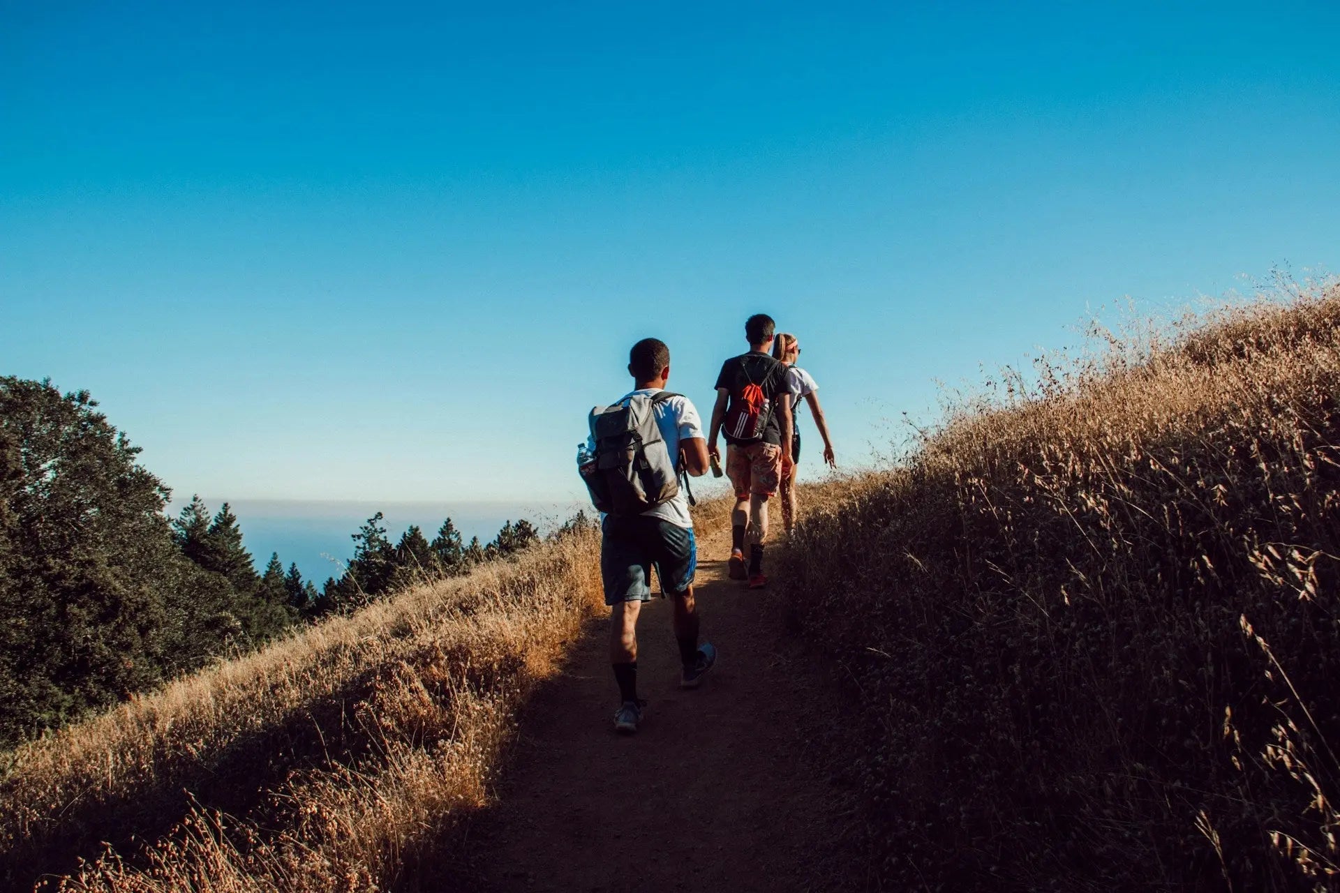 Why walking is good for your back CALZATURIFICIO ZAMBERLAN SRL