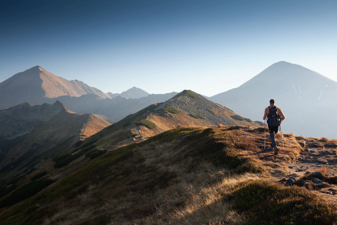 Best Trekking Apps: Top Applications for the Outdoors CALZATURIFICIO ZAMBERLAN SRL