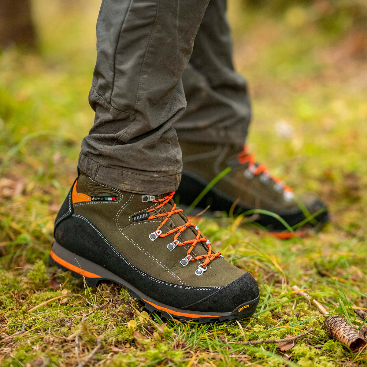 SIERRA GTX CF - Forest