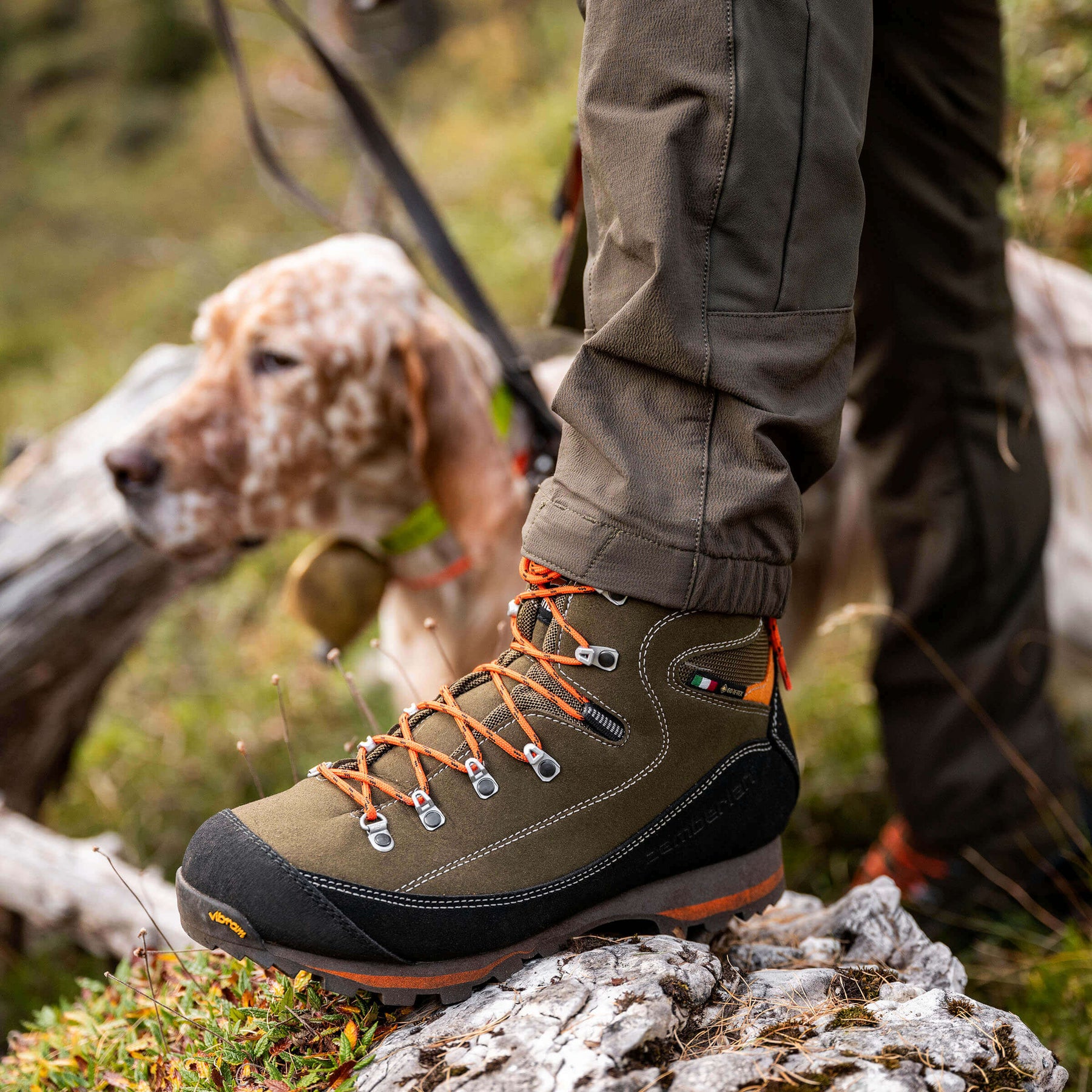 SIERRA GTX CF - Forest