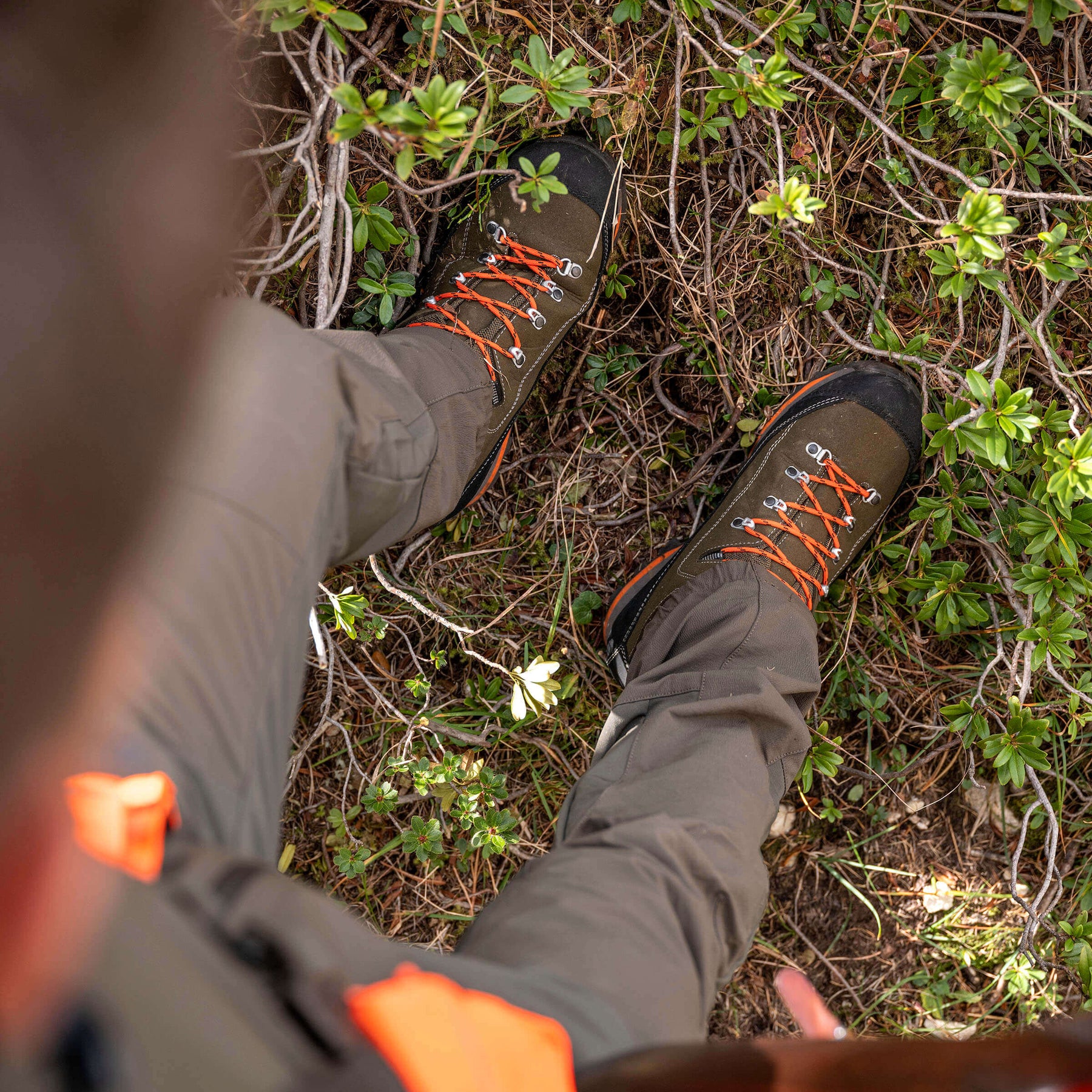 SIERRA GTX CF - Forest