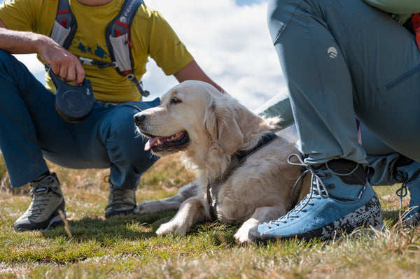 Scarponi e scarpe da hiking