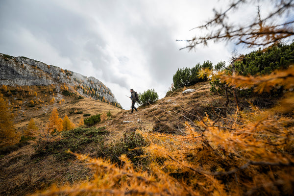 Scarponi da caccia