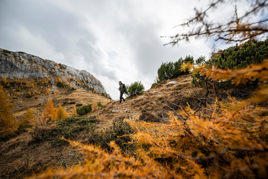Scarponi da caccia