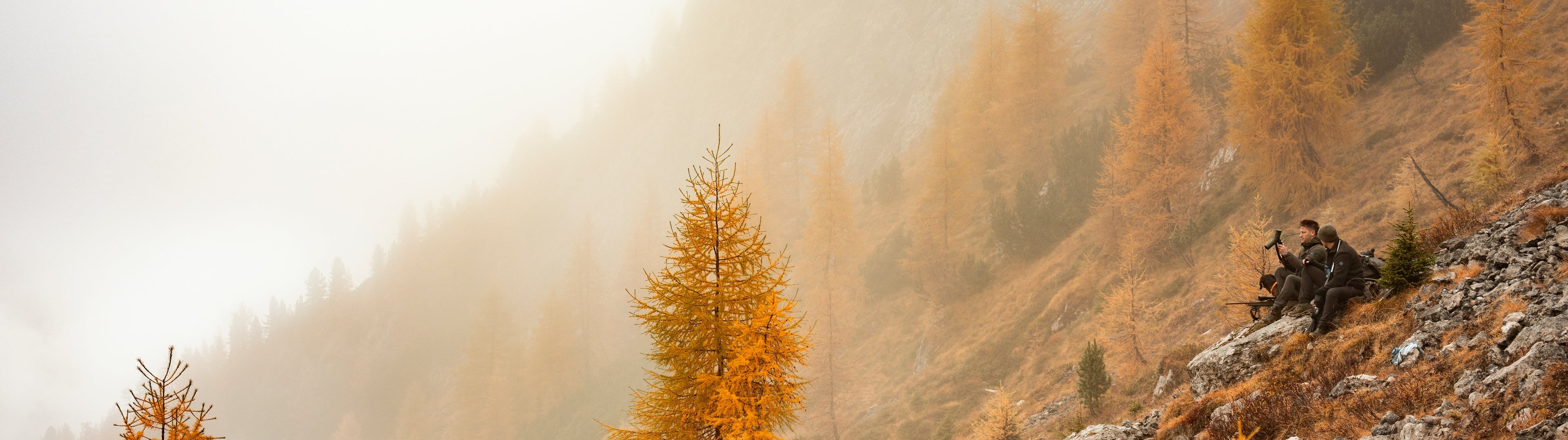Mountain landscape with trees and a person on a mountain bike