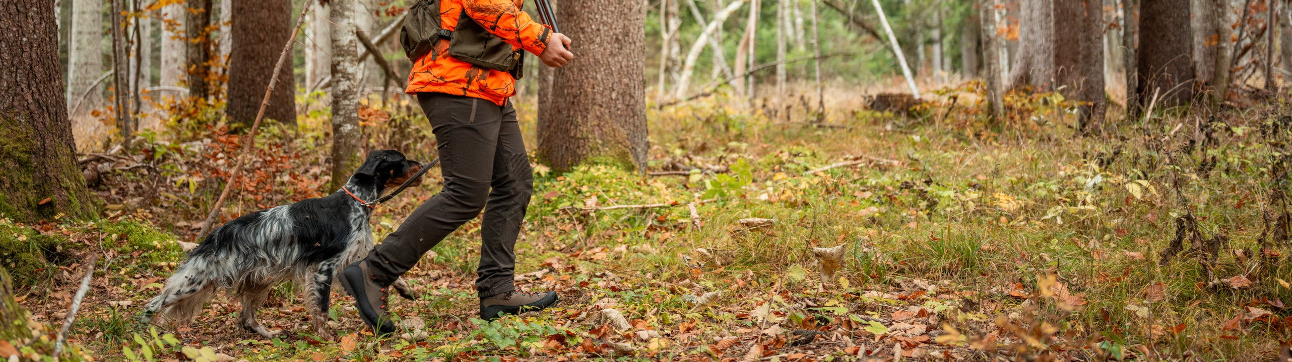 Person in orange jacket walking a dog through a forest