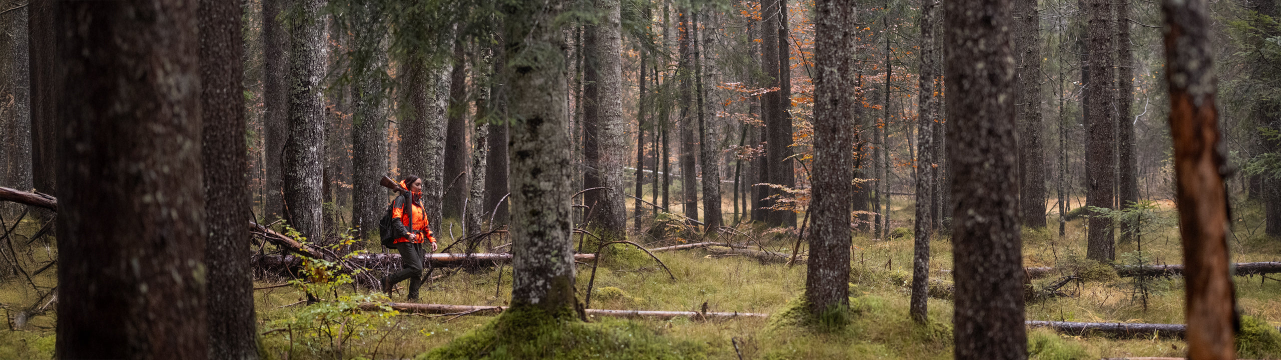 Hunter with a backpack walking through a forest