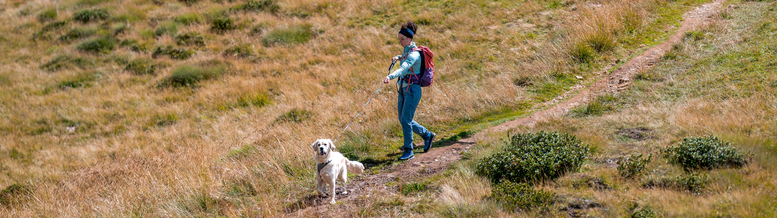 Person walking a dog on a trail in a natural setting